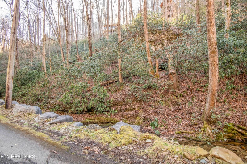 0 N Clear Fork Rd Lot 4, Sevierville, TN 37862