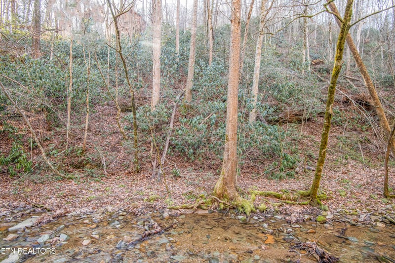 0 N Clear Fork Rd Lot 4, Sevierville, TN 37862