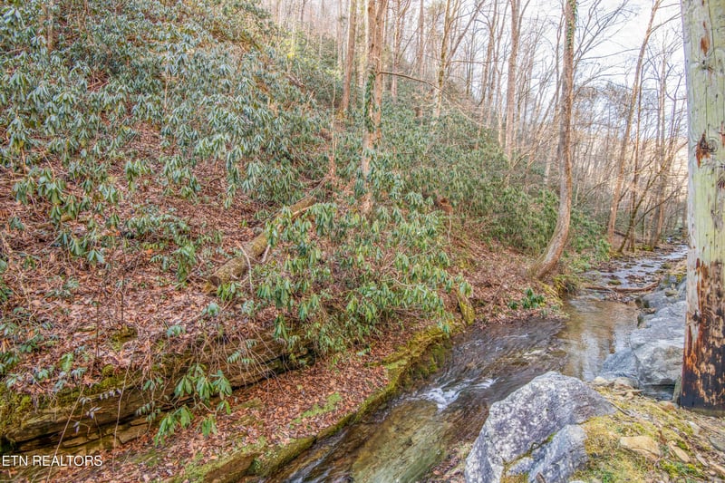 0 N Clear Fork Rd Lot 4, Sevierville, TN 37862