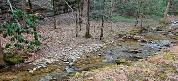 0 N Clear Fork Rd, Sevierville, TN 37862