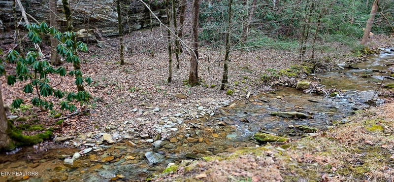 0 N Clear Fork Rd, Sevierville, TN 37862