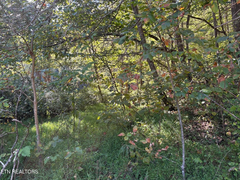 0 N Clearfork Rd Sec 2, Lot 1, Sevierville, TN 37862