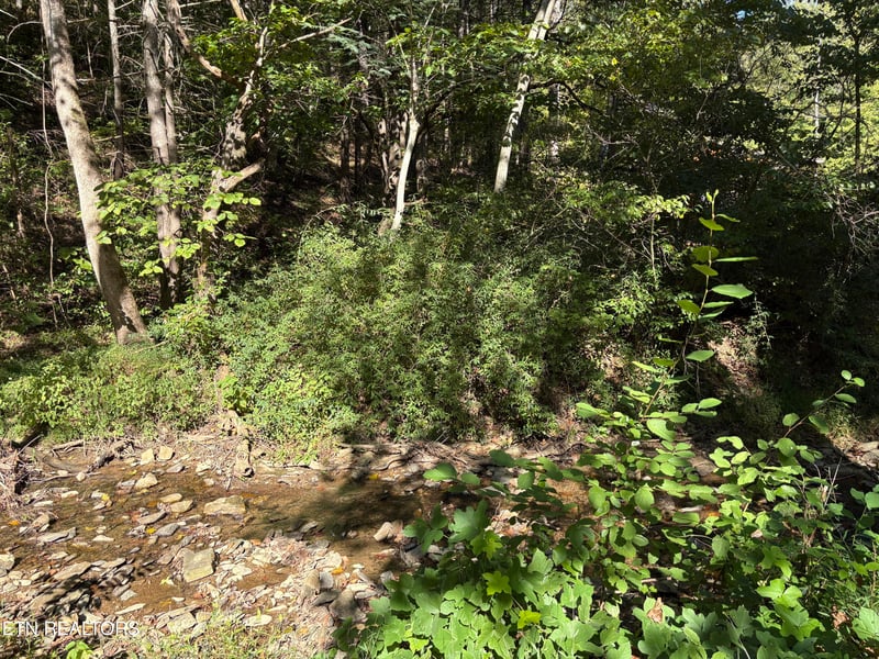 0 N Clearfork Rd Sec 2, Lot 1, Sevierville, TN 37862