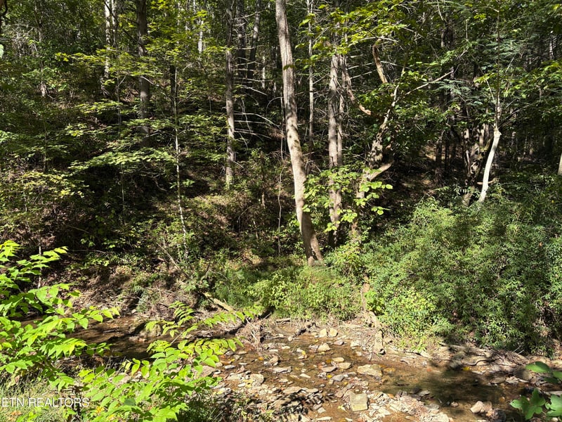 0 N Clearfork Rd Sec 2, Lot 1, Sevierville, TN 37862