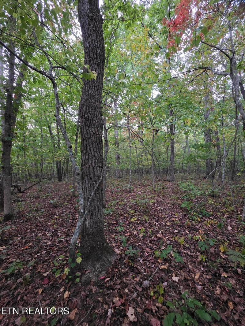 0 N Lake Tr, Monterey, TN 38574