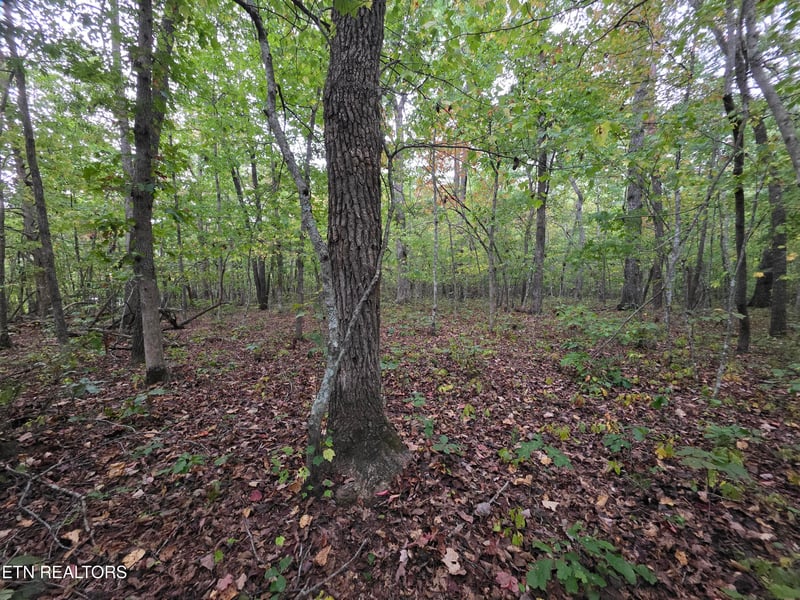 0 N Lake Tr, Monterey, TN 38574