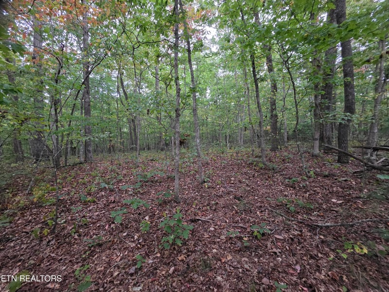 0 N Lake Tr, Monterey, TN 38574