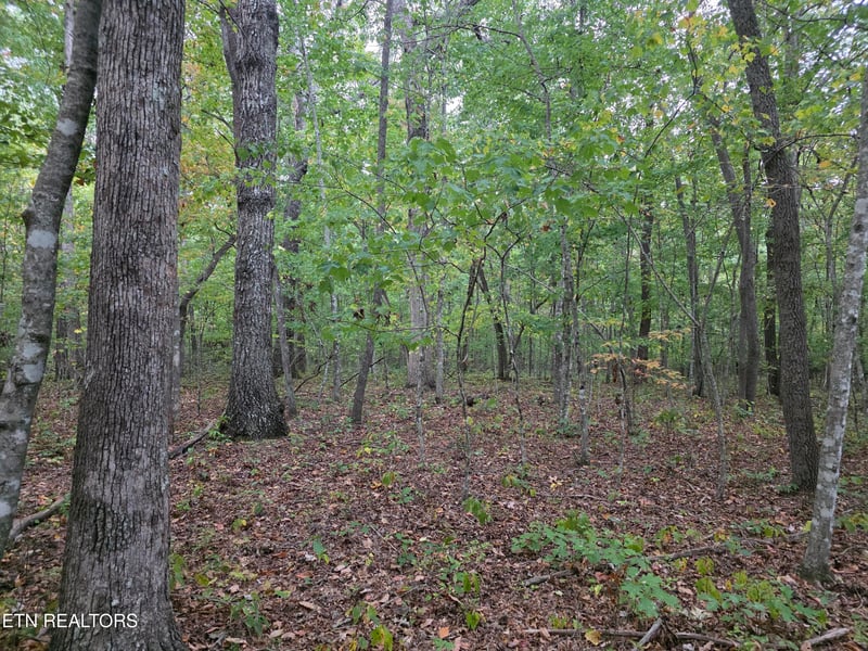 0 N Lake Tr, Monterey, TN 38574