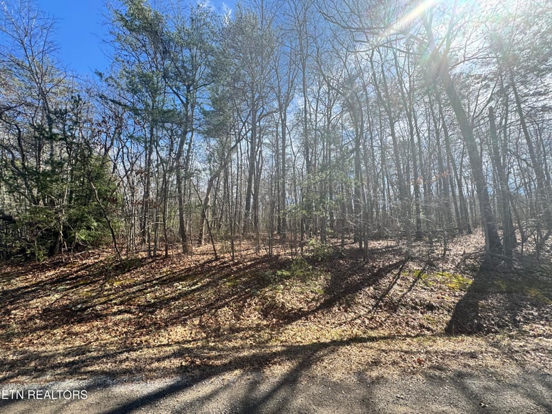 0 N Laurel Loop, Monterey, TN 38574