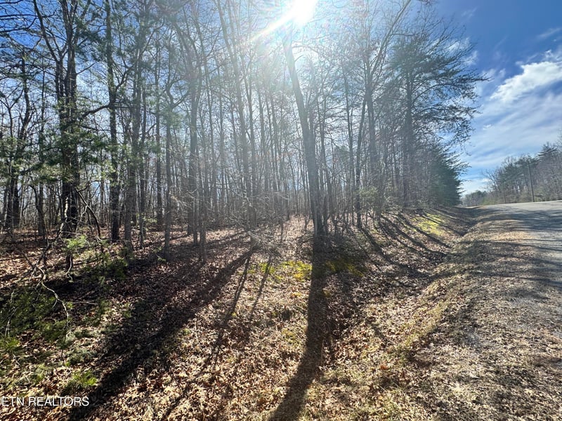 0 N Laurel Loop, Monterey, TN 38574