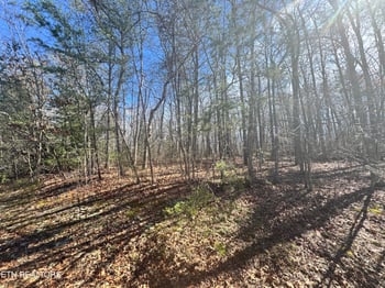 0 N Laurel Loop, Monterey, TN 38574