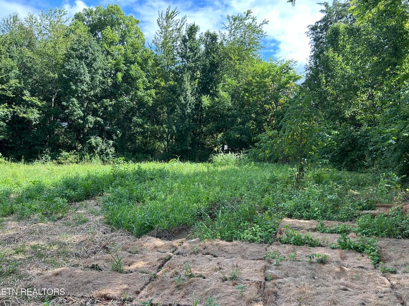 0 N Linden Dr, Alcoa, TN 37701
