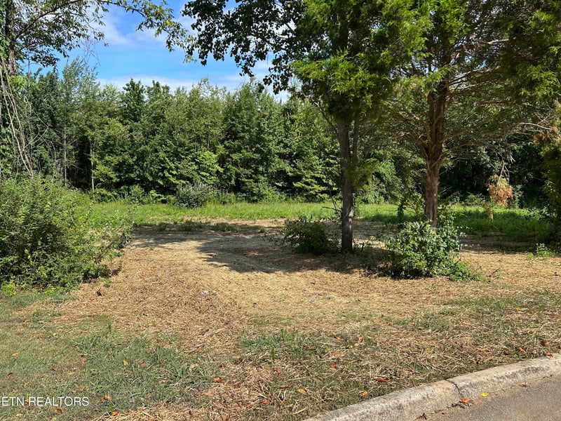 0 N Linden Dr, Alcoa, TN 37701