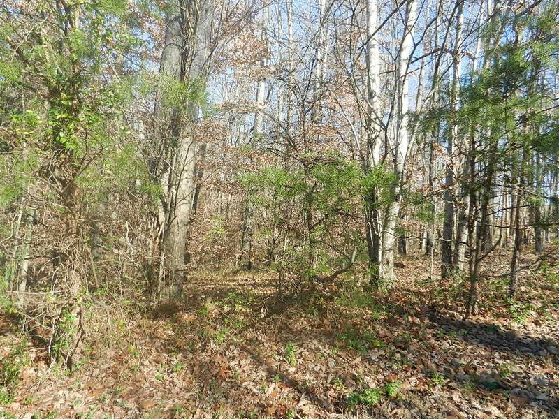 0 N Shiloh Way, Kingston, TN 37763