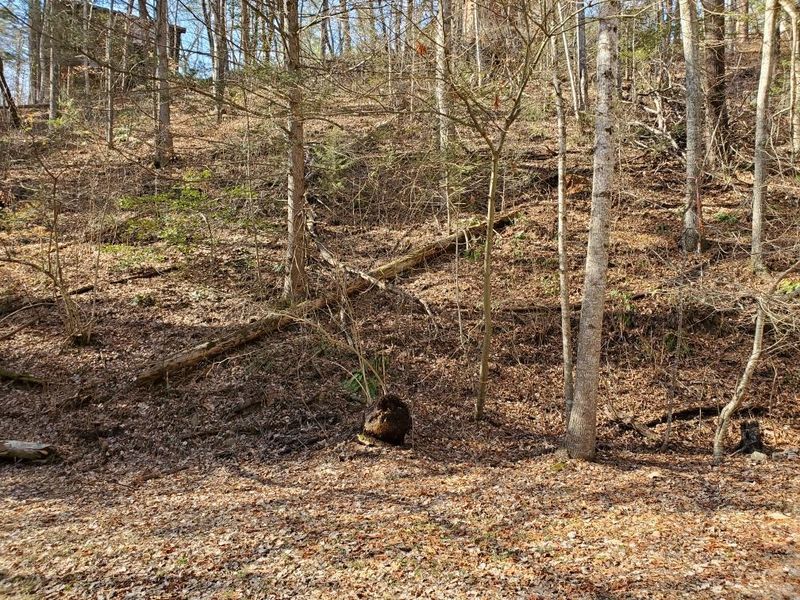 0 N Spring Hollow Cir, Sevierville, TN 37876