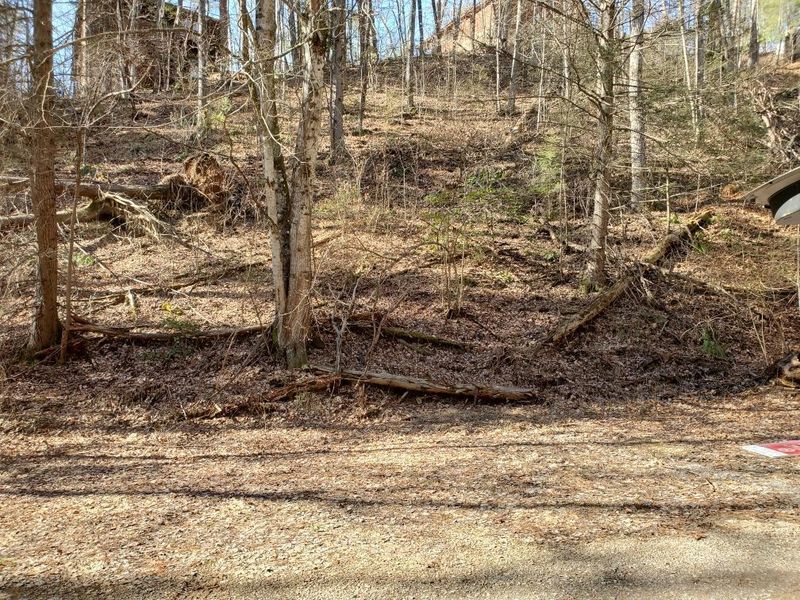 0 N Spring Hollow Cir, Sevierville, TN 37876