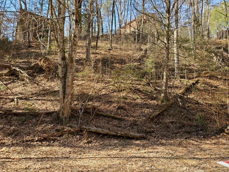 0 N Spring Hollow Cir, Sevierville, TN 37876