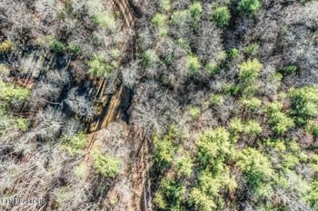 0 Nashville Ave, Deer Lodge, TN 37726