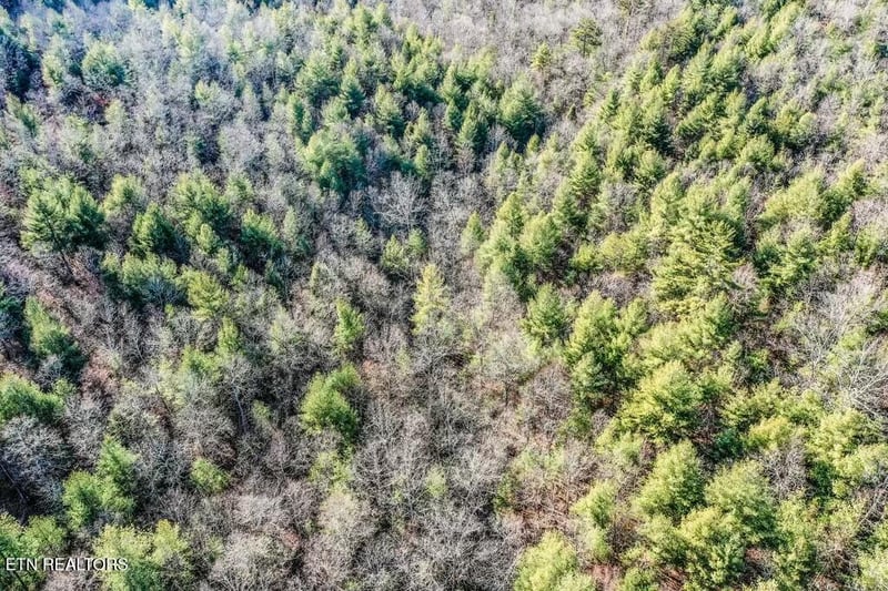 0 Nashville Ave, Deer Lodge, TN 37726