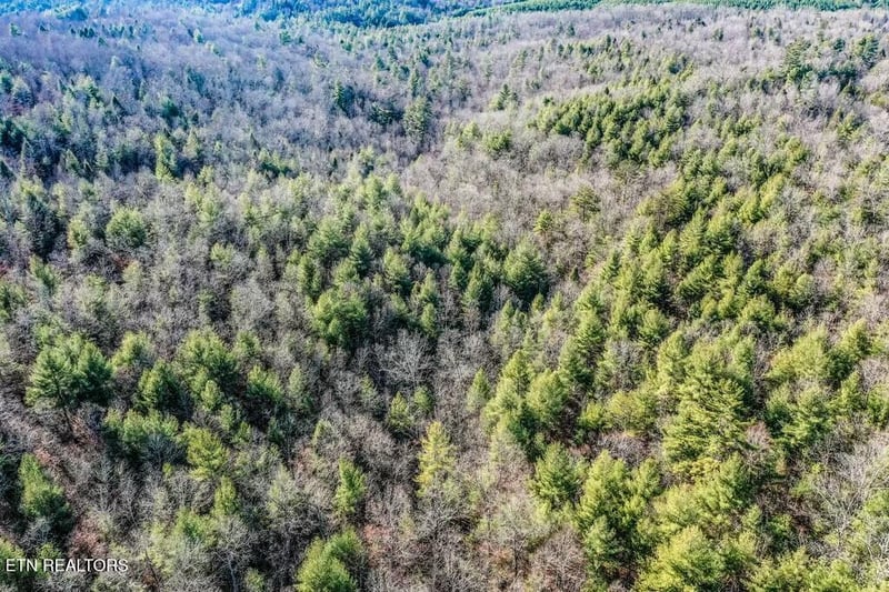 0 Nashville Ave, Deer Lodge, TN 37726