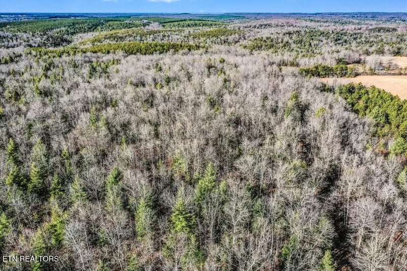 0 Nashville Ave, Deer Lodge, TN 37726