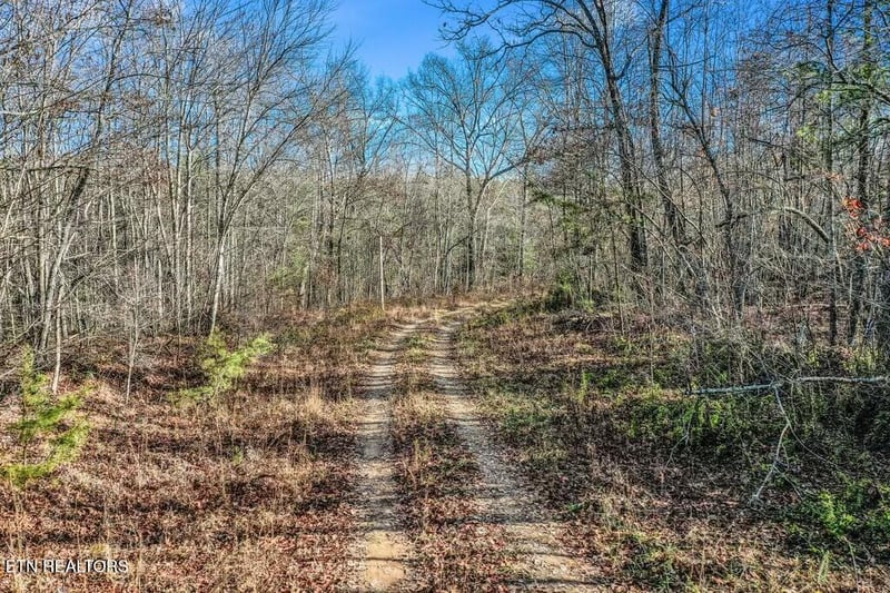 0 Nashville Ave, Deer Lodge, TN 37726