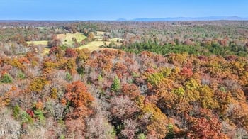 0 Nashville Ave, Deer Lodge, TN 37726