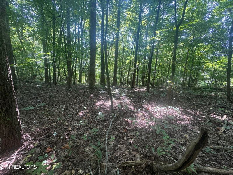 0 New Corinth Rd, Rutledge, TN 37861