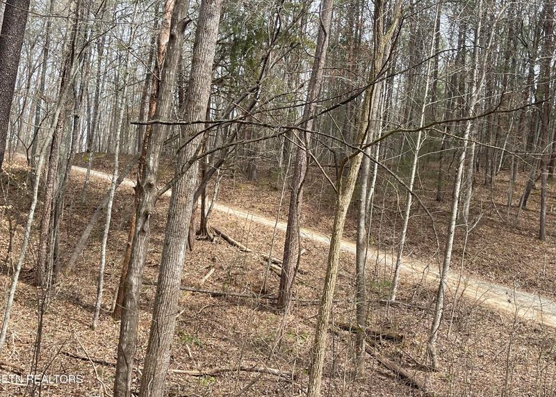 0 New Providence Rd, Tellico Plains, TN 37385