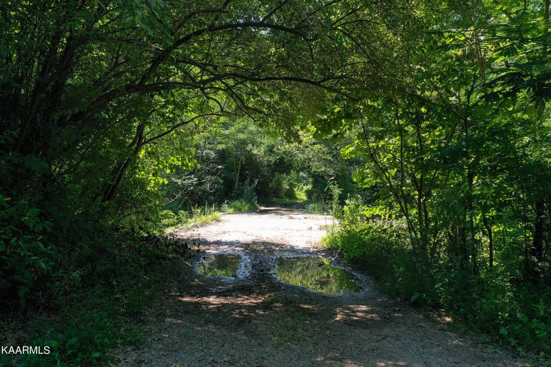 0 New River Hwy, Briceville, TN 37710