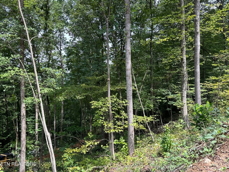 0 Newcomb Elk Valley Pike, Newcomb, TN 37819