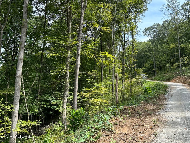 0 Newcomb Elk Valley Pike, Newcomb, TN 37819