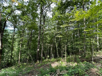 0 Newcomb Elk Valley Pike, Newcomb, TN 37819