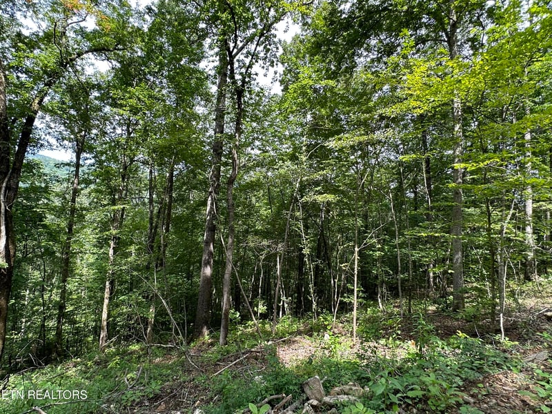 0 Newcomb Elk Valley Pike, Newcomb, TN 37819