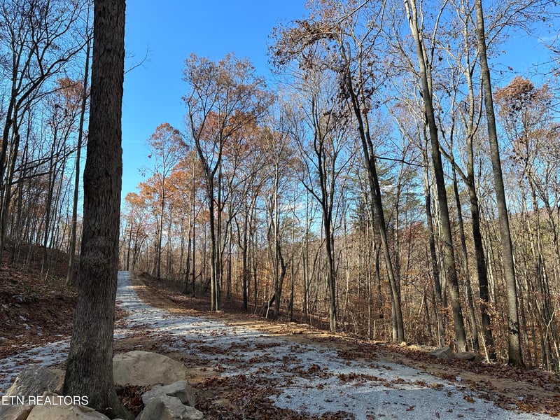 0 Newcomb Elk Valley Pike, Newcomb, TN 37819
