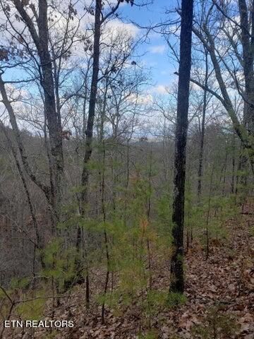 0 Nichols Branch Way, Sevierville, TN 37876