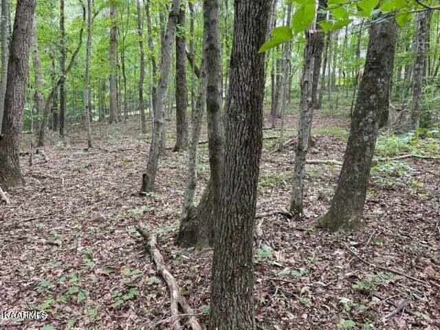 0 Nickey Dr, Harriman, TN 37748