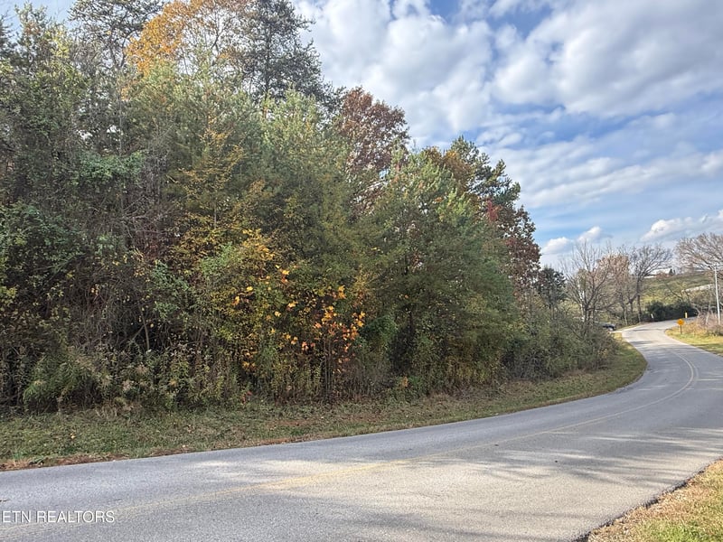 0 Nina Delozier Rd, Maryville, TN 37804