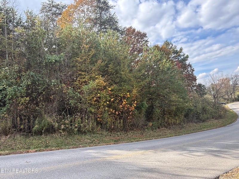 0 Nina Delozier Rd, Maryville, TN 37804