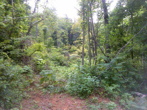 0 Norman Rd, Powell, TN 37849