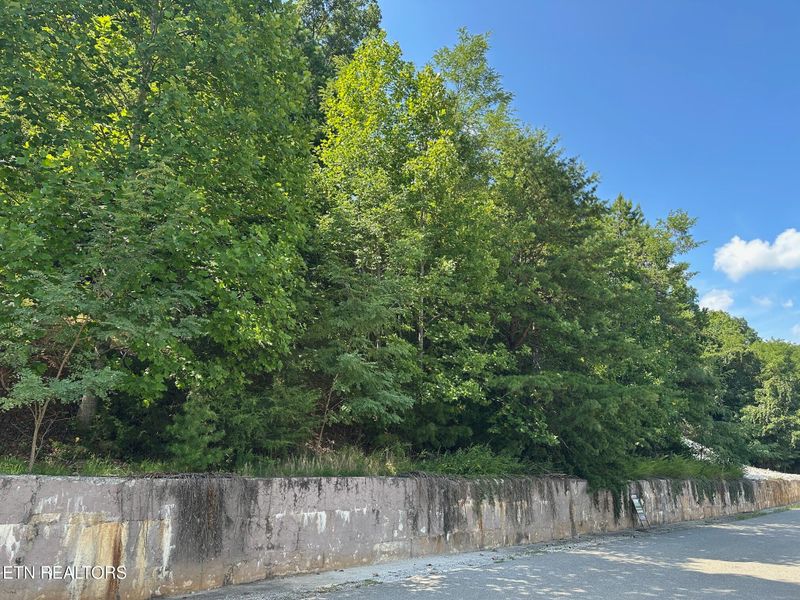 0 Norris Crest Dr, Lafollette, TN 37766