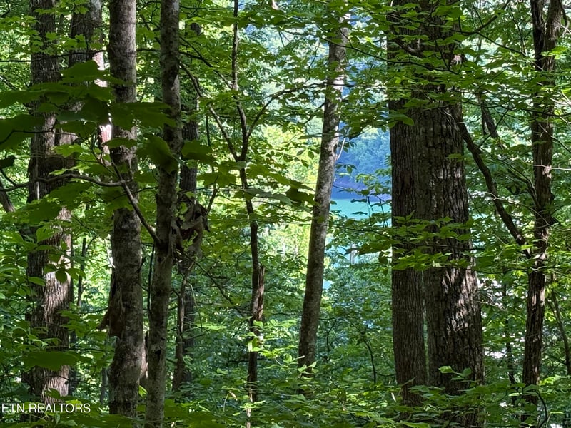 0 Norris Shores Dr, Sharps Chapel, TN 37866