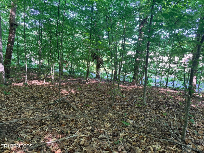 0 Norris Shores Dr, Sharps Chapel, TN 37866