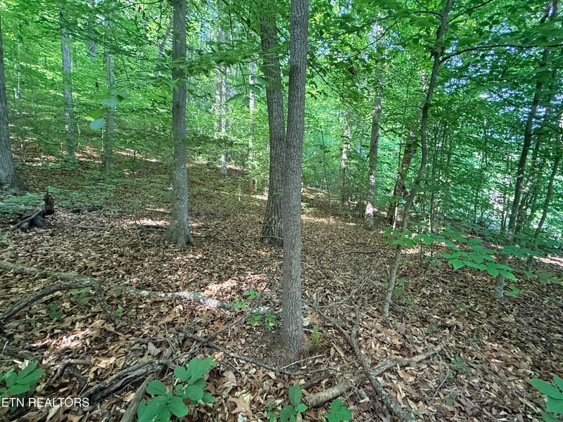 0 Norris Shores Dr, Sharps Chapel, TN 37866