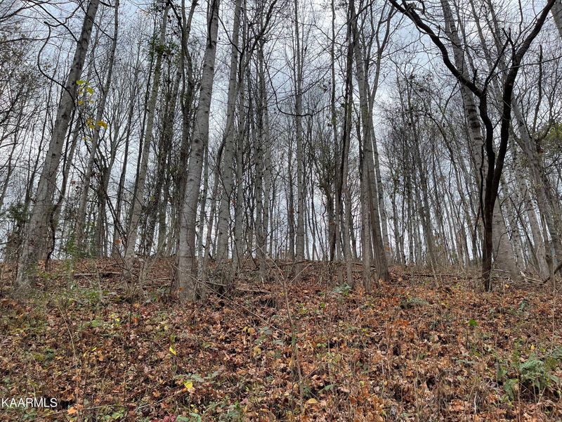 0 Norris View Lane Dr, Lafollette, TN 37766