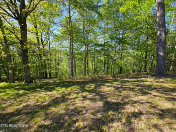 0 Norris View Ln #1, Lafollette, TN 37766