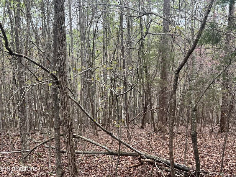 0 Norris View Ln, Lafollette, TN 37766
