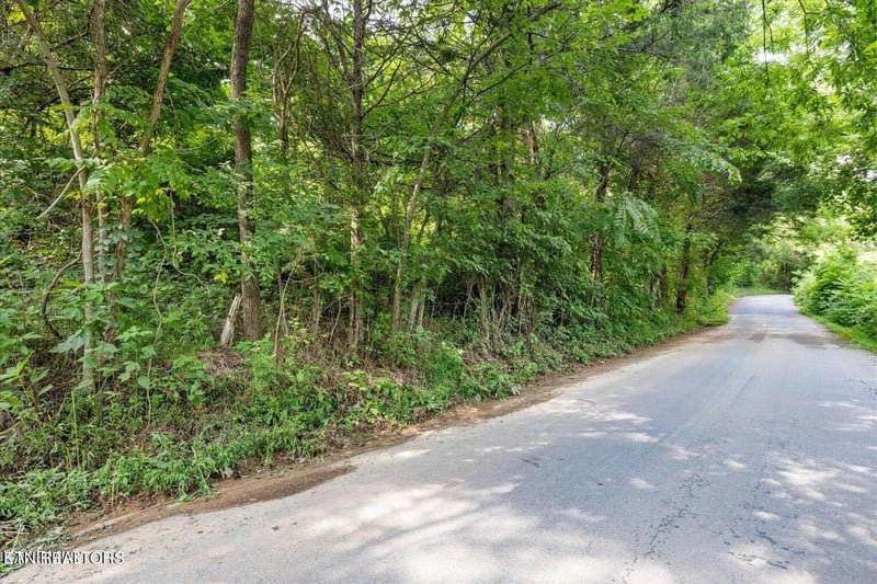 0 Nuns Cove Rd, Sevierville, TN 37876
