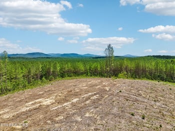 0 Nydeck Rd, Robbins, TN 37852