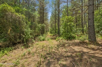 0 Nydeck Tr #Tract 3, Robbins, TN 37852